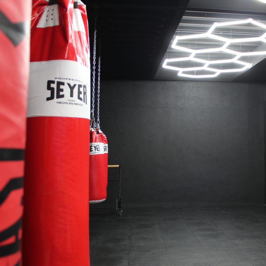 Salón de Box con costales profesionales en Eleva Fitness